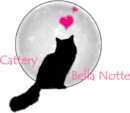 Cattery Bella Notte