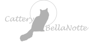 Logo Cattery BellaNotte (New3)